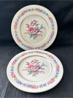 Castleton Manor USA Salad Plate Lot of 2 Cream Gold & Floral Border 8 1/4" VTG